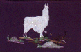 llama5.gif (6537 bytes)