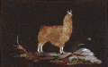 llama6.gif (6711 bytes)