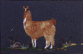 llama7.gif (7162 bytes)