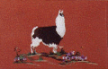 llama8.gif (7084 bytes)